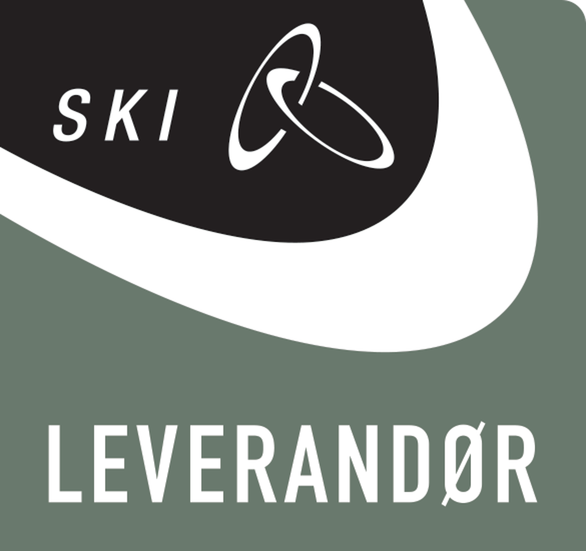 SKI badge