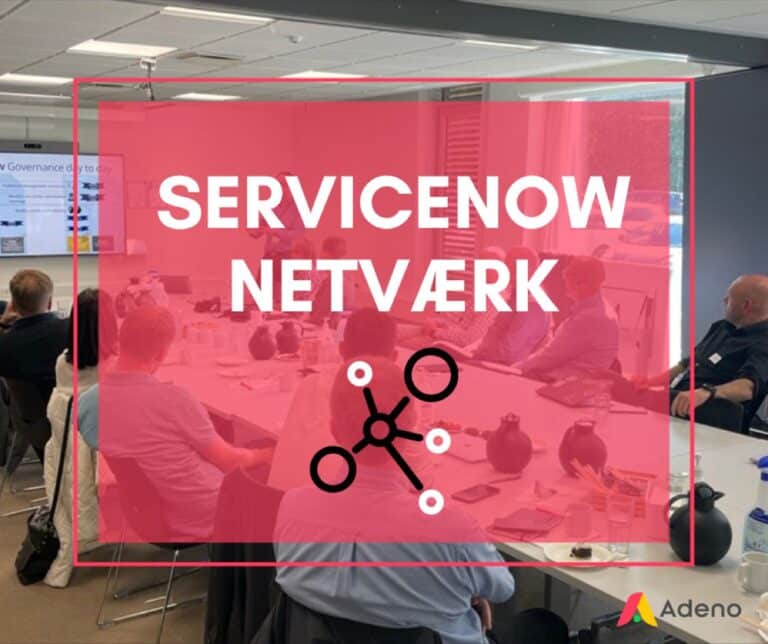 ServiceNow Netværk